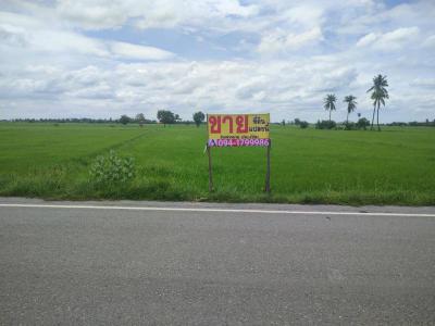 ที่ดิน 1250000 อ่างทอง สามโก้ มงคลธรรมนิมิต