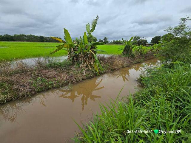ที่ดิน 8500000 นครนายก ปากพลี เกาะหวาย ที่ดิน 8500000 นครนายก ปากพลี เกาะหวาย