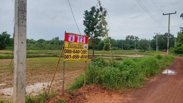 ที่ดิน 4800000 หนองคาย เมืองหนองคาย ปะโค ที่ดิน 4800000 หนองคาย เมืองหนองคาย ปะโค