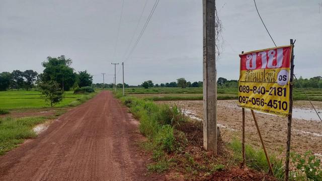 ที่ดิน 4800000 หนองคาย เมืองหนองคาย ปะโค ที่ดิน 4800000 หนองคาย เมืองหนองคาย ปะโค