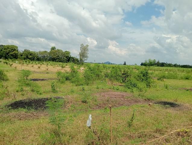 ที่ดิน 380000 ราชบุรี จอมบึง จอมบึง