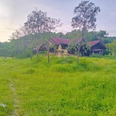 ที่ดิน 1350000 ระยอง เมืองระยอง ตะพง