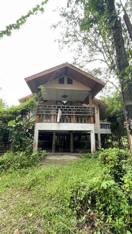 บ้านเดี่ยว 1070000 พัทลุง ตะโหมด ตะโหมด บ้านเดี่ยว 1070000 พัทลุง ตะโหมด ตะโหมด