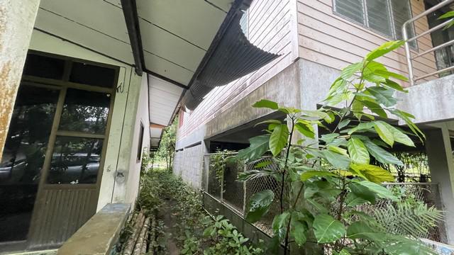 บ้านเดี่ยว 1070000 พัทลุง ตะโหมด ตะโหมด บ้านเดี่ยว 1070000 พัทลุง ตะโหมด ตะโหมด