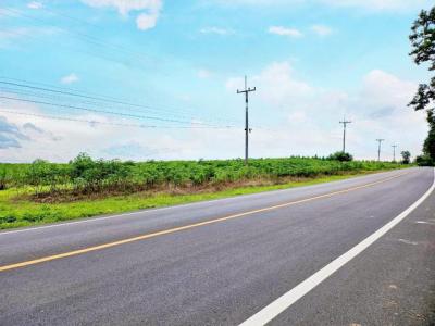 ที่ดิน 1100000 ชลบุรี บ้านบึง หนองอิรุณ