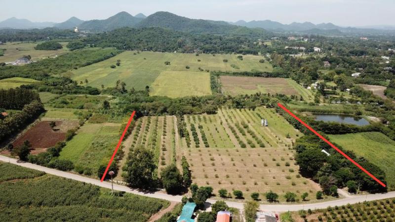 ที่ดิน 90000000 นครราชสีมา ปากช่อง หมูสี ที่ดิน 90000000 นครราชสีมา ปากช่อง หมูสี