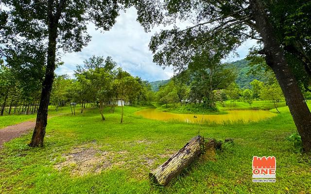 ที่ดิน 1450000 ปราจีนบุรี เมืองปราจีนบุรี เนินหอม ที่ดิน 1450000 ปราจีนบุรี เมืองปราจีนบุรี เนินหอม