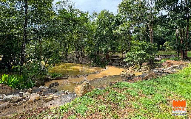 ที่ดิน 1450000 ปราจีนบุรี เมืองปราจีนบุรี เนินหอม ที่ดิน 1450000 ปราจีนบุรี เมืองปราจีนบุรี เนินหอม