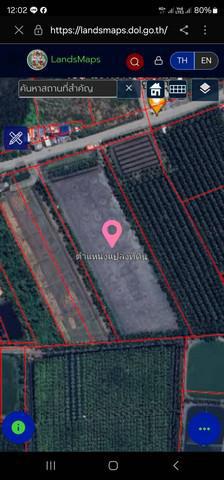 ที่ดิน 1250000 สมุทรสาคร บ้านแพ้ว ยกกระบัตร