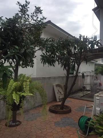บ้านเดี่ยว 5590000 กรุงเทพมหานคร เขตสะพานสูง สะพานสูง บ้านเดี่ยว 5590000 กรุงเทพมหานคร เขตสะพานสูง สะพานสูง