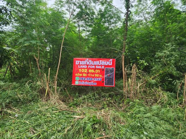 ที่ดิน 1300000 ปทุมธานี คลองหลวง 