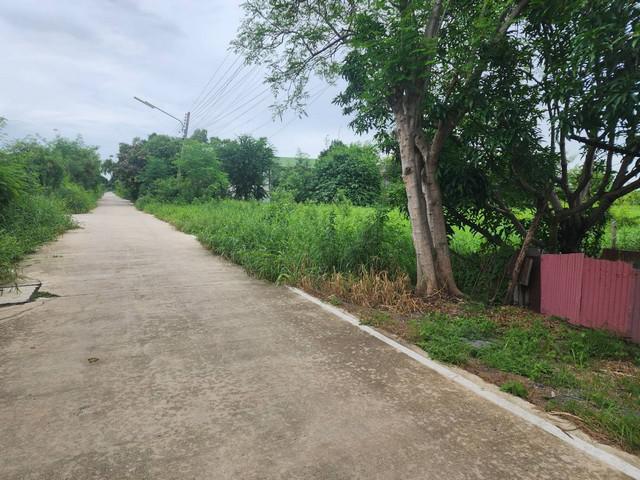 ที่ดิน 1300000 ปทุมธานี คลองหลวง 