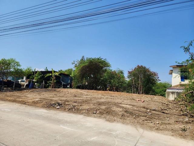 ที่ดิน 1800000 ประจวบคีรีขันธ์ หัวหิน หนองแก ที่ดิน 1800000 ประจวบคีรีขันธ์ หัวหิน หนองแก