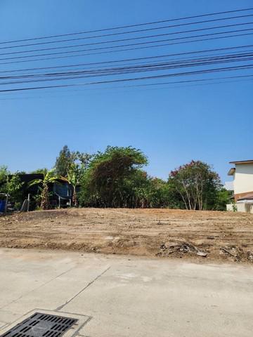 ที่ดิน 1800000 ประจวบคีรีขันธ์ หัวหิน หนองแก ที่ดิน 1800000 ประจวบคีรีขันธ์ หัวหิน หนองแก