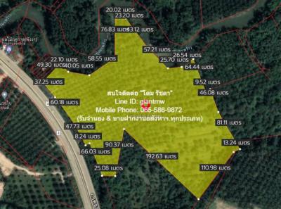 ที่ดิน 91396250 พังงา ท้ายเหมือง ทุ่งมะพร้าว