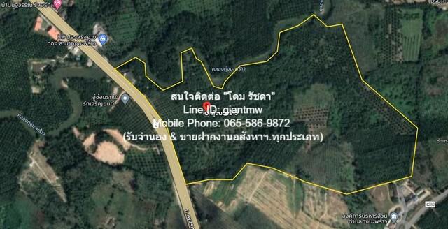 ที่ดิน 91396250 พังงา ท้ายเหมือง ทุ่งมะพร้าว ที่ดิน 91396250 พังงา ท้ายเหมือง ทุ่งมะพร้าว