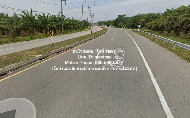 ที่ดิน 91396250 พังงา ท้ายเหมือง ทุ่งมะพร้าว ที่ดิน 91396250 พังงา ท้ายเหมือง ทุ่งมะพร้าว