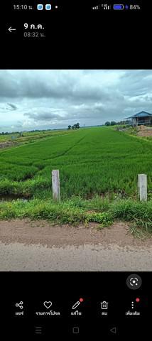 ที่ดิน 360000 ฉะเชิงเทรา บางน้ำเปรี้ยว ดอนเกาะกา ที่ดิน 360000 ฉะเชิงเทรา บางน้ำเปรี้ยว ดอนเกาะกา