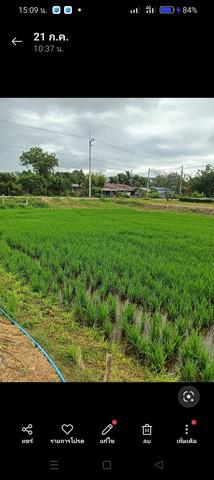 ที่ดิน 360000 ฉะเชิงเทรา บางน้ำเปรี้ยว ดอนเกาะกา ที่ดิน 360000 ฉะเชิงเทรา บางน้ำเปรี้ยว ดอนเกาะกา
