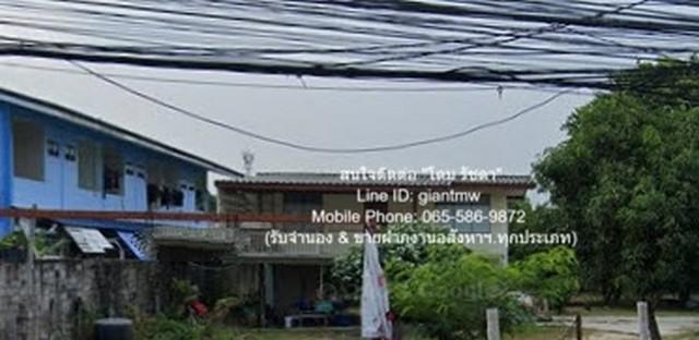ที่ดิน 24500000 ชลบุรี เมืองชลบุรี แสนสุข ที่ดิน 24500000 ชลบุรี เมืองชลบุรี แสนสุข