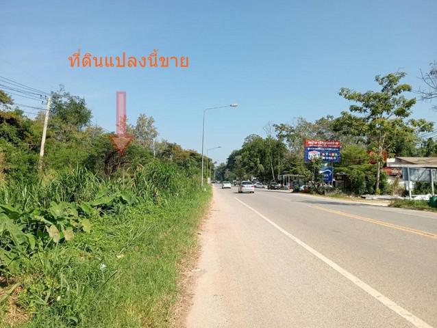 ที่ดิน 25000000 นครราชสีมา ปากช่อง หมูสี ที่ดิน 25000000 นครราชสีมา ปากช่อง หมูสี