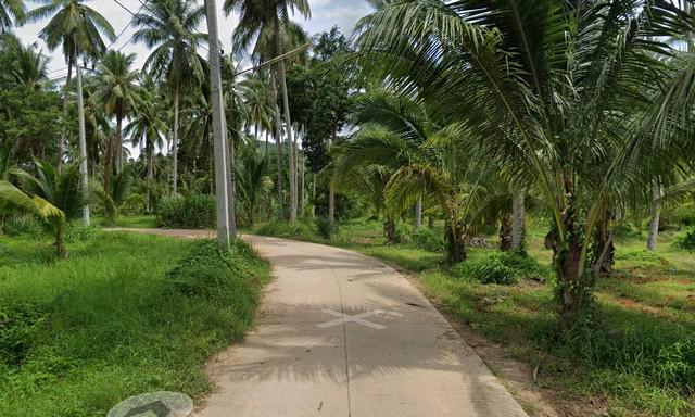 ที่ดิน 7500000 ประจวบคีรีขันธ์ ทับสะแก อ่างทอง ที่ดิน 7500000 ประจวบคีรีขันธ์ ทับสะแก อ่างทอง