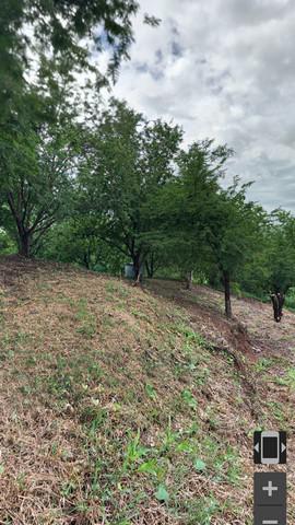 ที่ดิน 1020000 เพชรบูรณ์ เมืองเพชรบูรณ์ ป่าเลา ที่ดิน 1020000 เพชรบูรณ์ เมืองเพชรบูรณ์ ป่าเลา