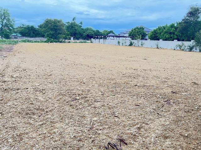 ที่ดิน 8112000 ประจวบคีรีขันธ์ หัวหิน หนองแก ที่ดิน 8112000 ประจวบคีรีขันธ์ หัวหิน หนองแก