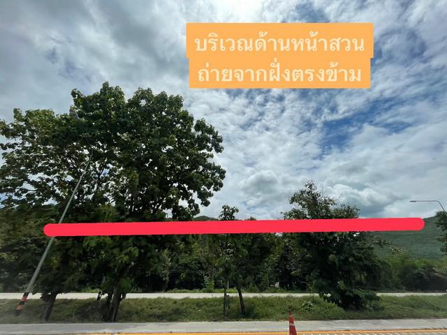 ที่ดิน 30000000 ลำพูน เมืองลำพูน ศรีบัวบาน ที่ดิน 30000000 ลำพูน เมืองลำพูน ศรีบัวบาน