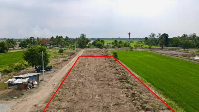 ที่ดิน 780000 ปทุมธานี หนองเสือ บึงบอน ที่ดิน 780000 ปทุมธานี หนองเสือ บึงบอน