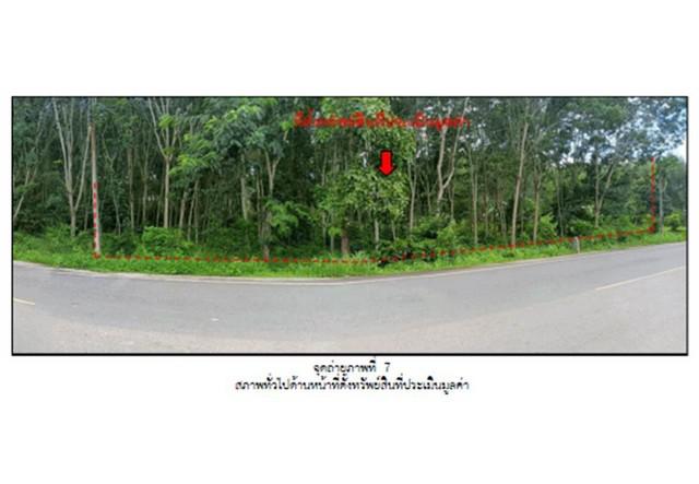 ที่ดิน 735000 พัทลุง ป่าพะยอม บ้านพร้าว ที่ดิน 735000 พัทลุง ป่าพะยอม บ้านพร้าว