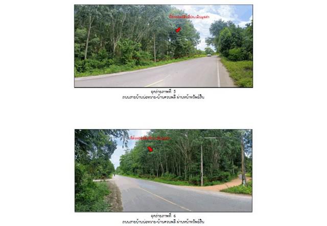 ที่ดิน 735000 พัทลุง ป่าพะยอม บ้านพร้าว ที่ดิน 735000 พัทลุง ป่าพะยอม บ้านพร้าว