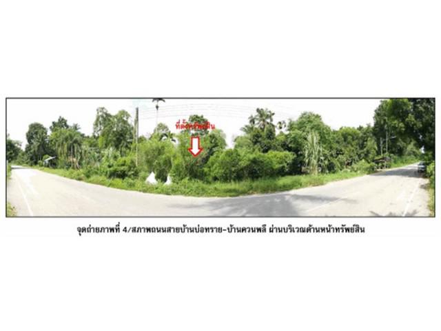 ที่ดิน 670000 พัทลุง ป่าพะยอม บ้านพร้าว ที่ดิน 670000 พัทลุง ป่าพะยอม บ้านพร้าว