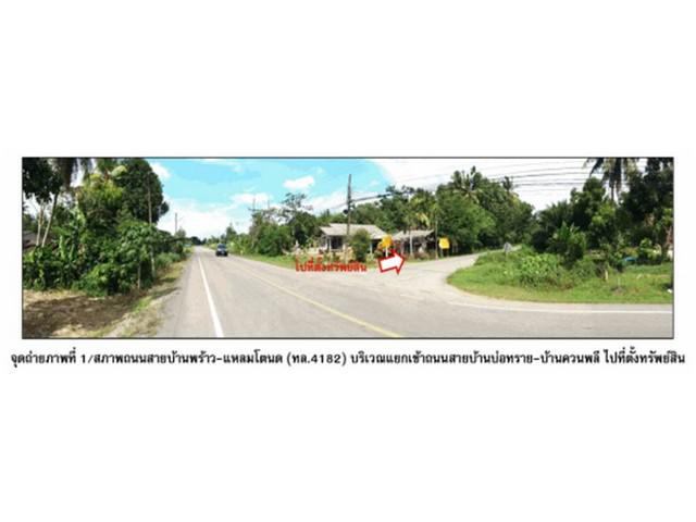 ที่ดิน 670000 พัทลุง ป่าพะยอม บ้านพร้าว ที่ดิน 670000 พัทลุง ป่าพะยอม บ้านพร้าว