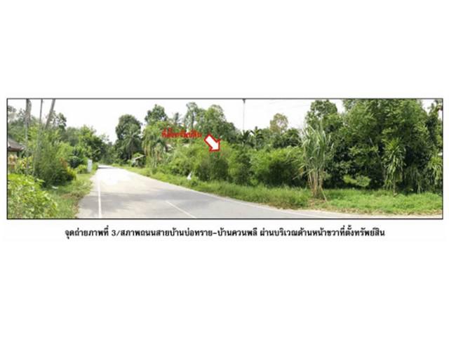 ที่ดิน 670000 พัทลุง ป่าพะยอม บ้านพร้าว ที่ดิน 670000 พัทลุง ป่าพะยอม บ้านพร้าว