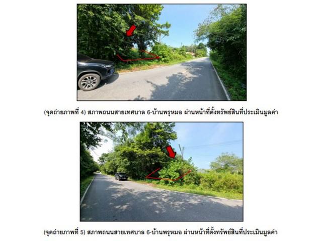 บ้านเดี่ยว 1250000 พัทลุง ปากพะยูน ปากพะยูน บ้านเดี่ยว 1250000 พัทลุง ปากพะยูน ปากพะยูน