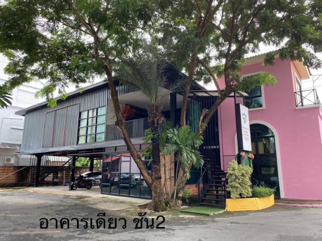 บ้านเดี่ยว 50000 กรุงเทพมหานคร เขตลาดพร้าว ลาดพร้าว บ้านเดี่ยว 50000 กรุงเทพมหานคร เขตลาดพร้าว ลาดพร้าว