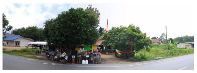 บ้านเดี่ยว 980000 พัทลุง ป่าบอน โคกทราย บ้านเดี่ยว 980000 พัทลุง ป่าบอน โคกทราย