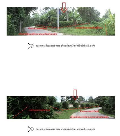 บ้านเดี่ยว 5050000 พัทลุง ป่าบอน วังใหม่ บ้านเดี่ยว 5050000 พัทลุง ป่าบอน วังใหม่