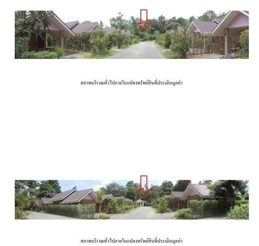บ้านเดี่ยว 5050000 พัทลุง ป่าบอน วังใหม่ บ้านเดี่ยว 5050000 พัทลุง ป่าบอน วังใหม่