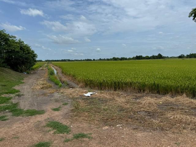 ที่ดิน 7000 นนทบุรี ไทรน้อย ขุนศรี ที่ดิน 7000 นนทบุรี ไทรน้อย ขุนศรี