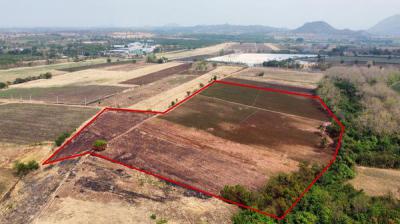 ที่ดิน 11450000 เพชรบูรณ์ ศรีเทพ ประดู่งาม