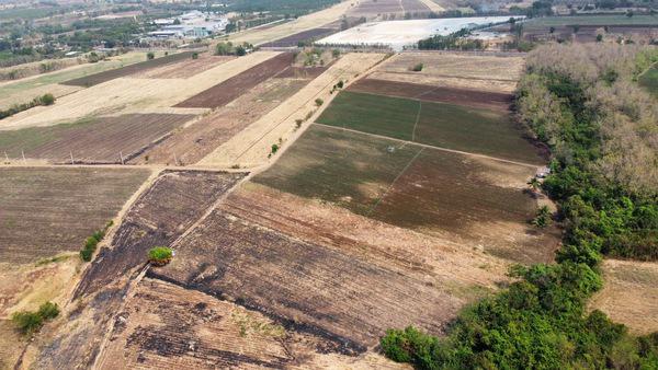 ที่ดิน 11450000 เพชรบูรณ์ ศรีเทพ ประดู่งาม ที่ดิน 11450000 เพชรบูรณ์ ศรีเทพ ประดู่งาม