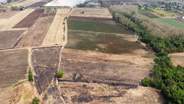 ที่ดิน 11450000 เพชรบูรณ์ ศรีเทพ ประดู่งาม ที่ดิน 11450000 เพชรบูรณ์ ศรีเทพ ประดู่งาม