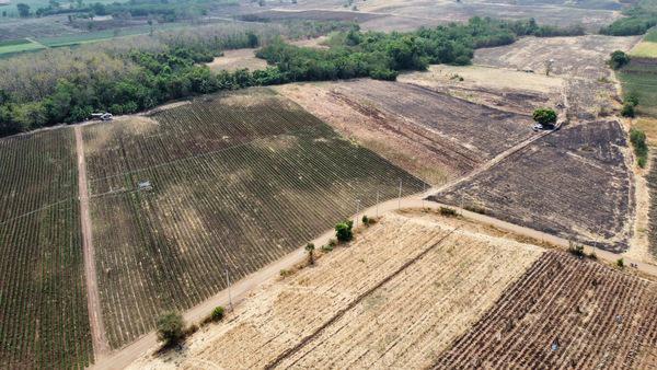 ที่ดิน 11450000 เพชรบูรณ์ ศรีเทพ ประดู่งาม ที่ดิน 11450000 เพชรบูรณ์ ศรีเทพ ประดู่งาม