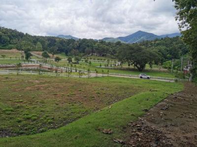 ที่ดิน 200000000 เชียงใหม่ หางดง บ้านปง