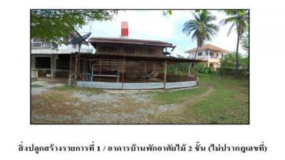 บ้านเดี่ยว 580000 สุโขทัย ศรีสำโรง วัดเกาะ