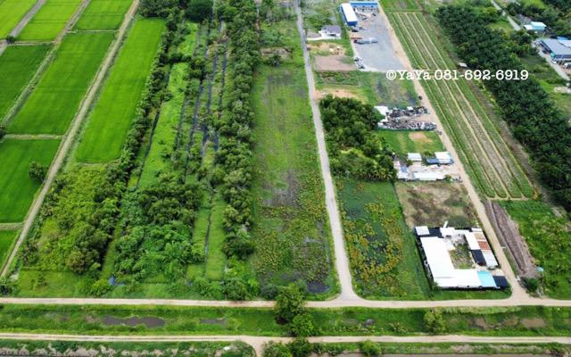 ที่ดิน 7500000 ปทุมธานี หนองเสือ บึงบอน ที่ดิน 7500000 ปทุมธานี หนองเสือ บึงบอน