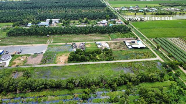 ที่ดิน 7500000 ปทุมธานี หนองเสือ บึงบอน ที่ดิน 7500000 ปทุมธานี หนองเสือ บึงบอน