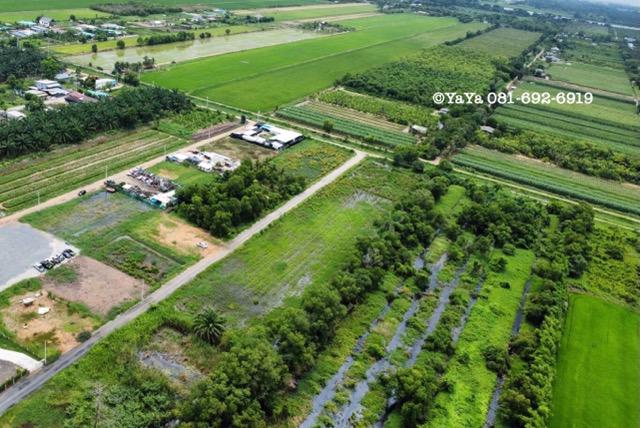 ที่ดิน 7500000 ปทุมธานี หนองเสือ บึงบอน ที่ดิน 7500000 ปทุมธานี หนองเสือ บึงบอน
